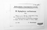 Septogloeum carthusianum image